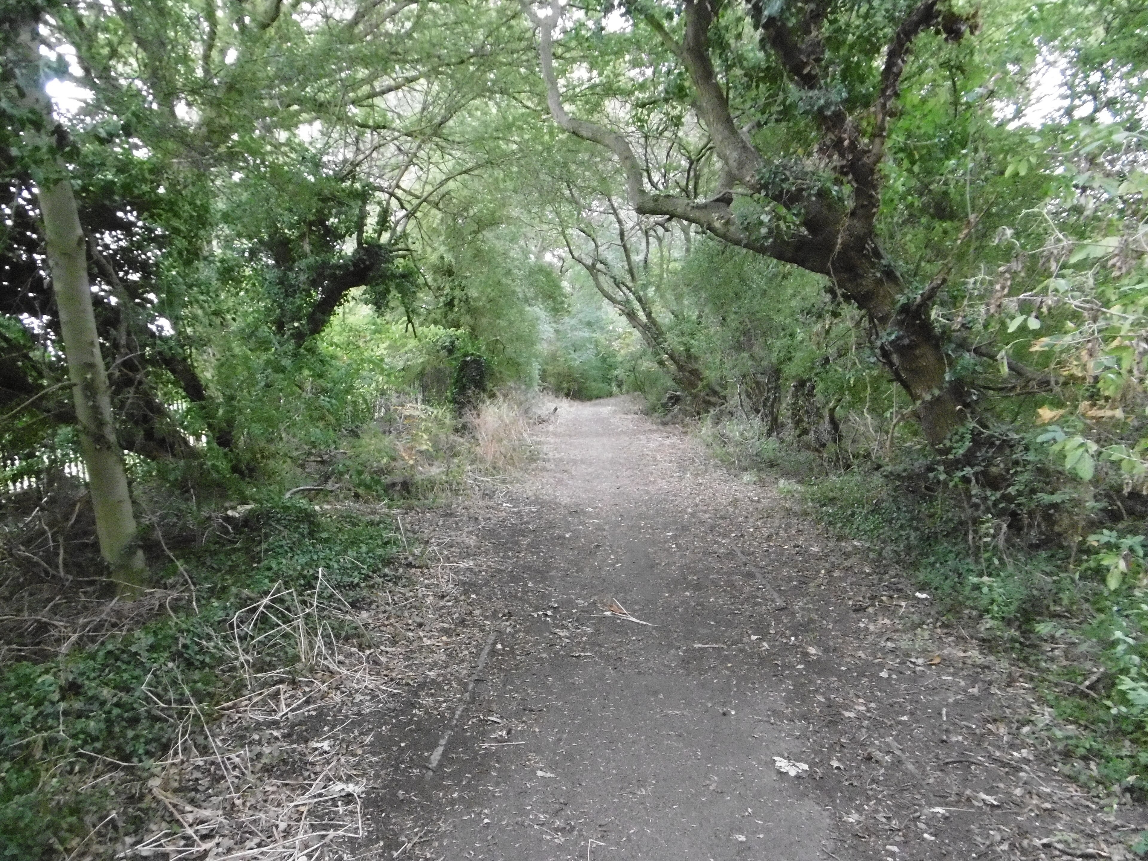 Ashley Lane