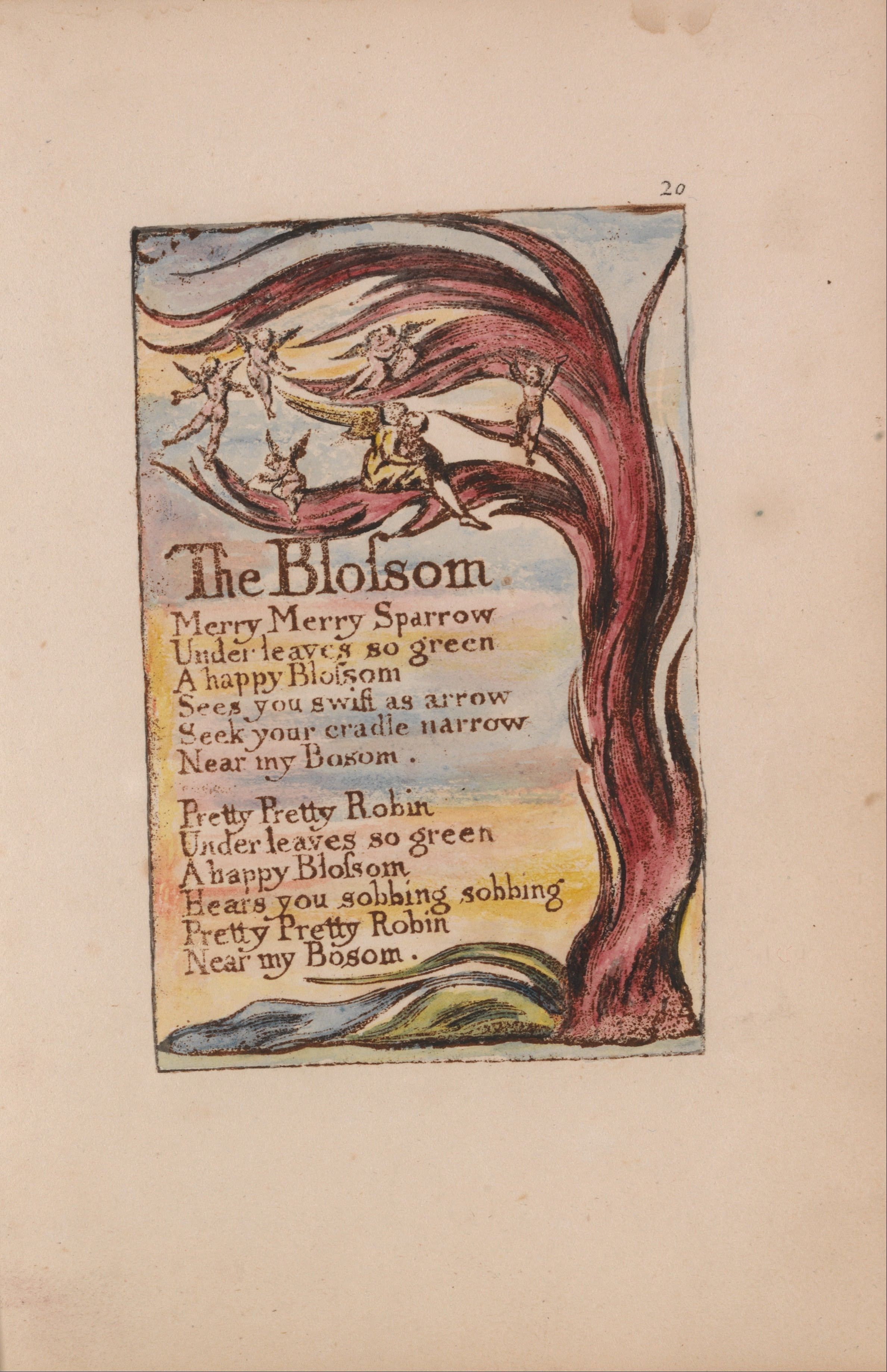Blake Blossom portrait