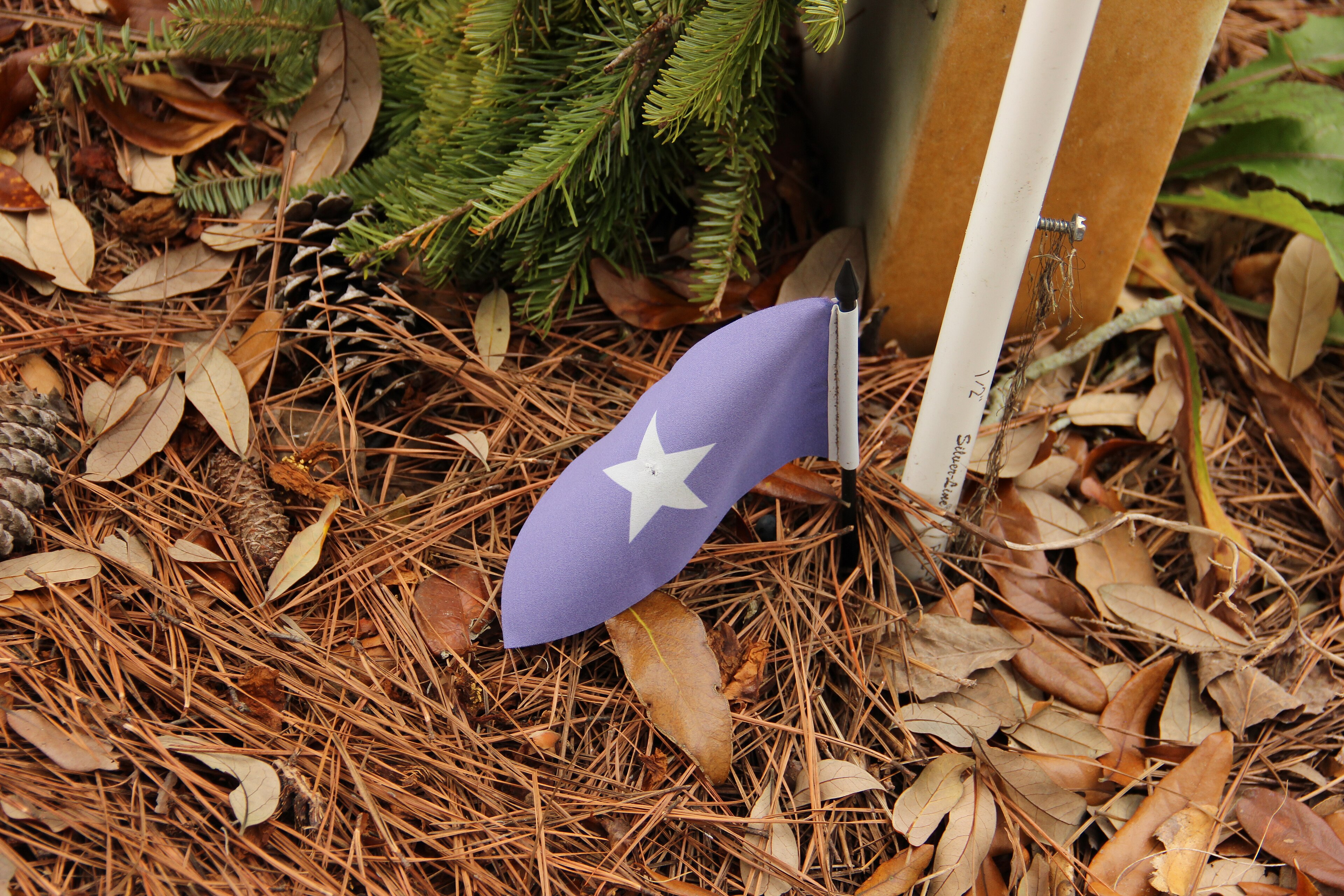 Bonnie Blue flag at Magnolia Cemetery in South Carolina