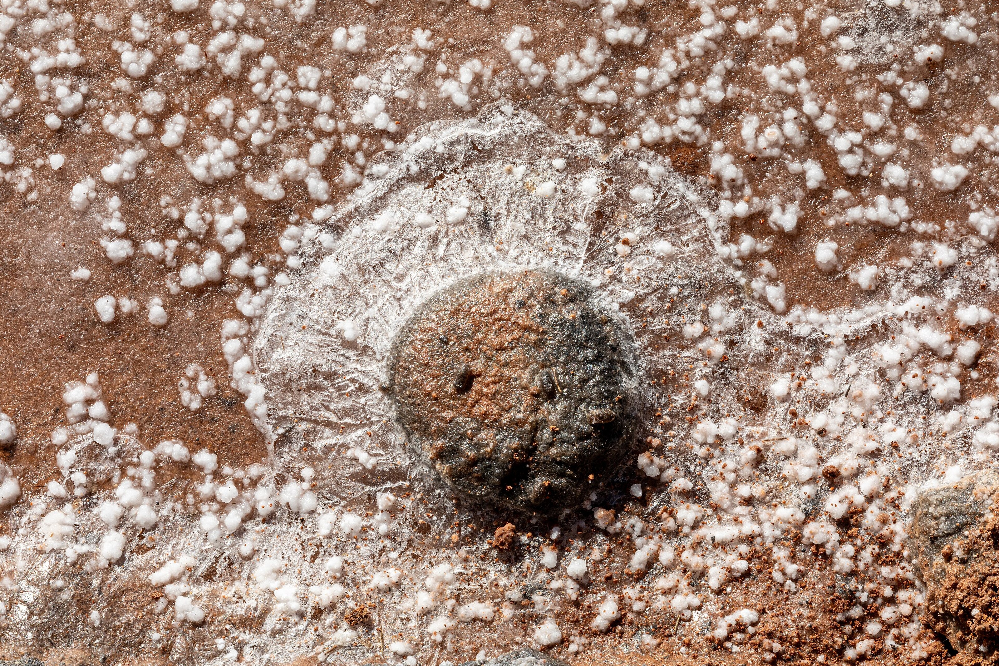 Salt crystals in the crystallization basin in the museum “Las  Salinas del Carmen ”,  Antigua ,  Fuerteventura ,  Spain   The Museo de las Salinas del Carmen on Fuerteventura tells the story of traditional salt productio