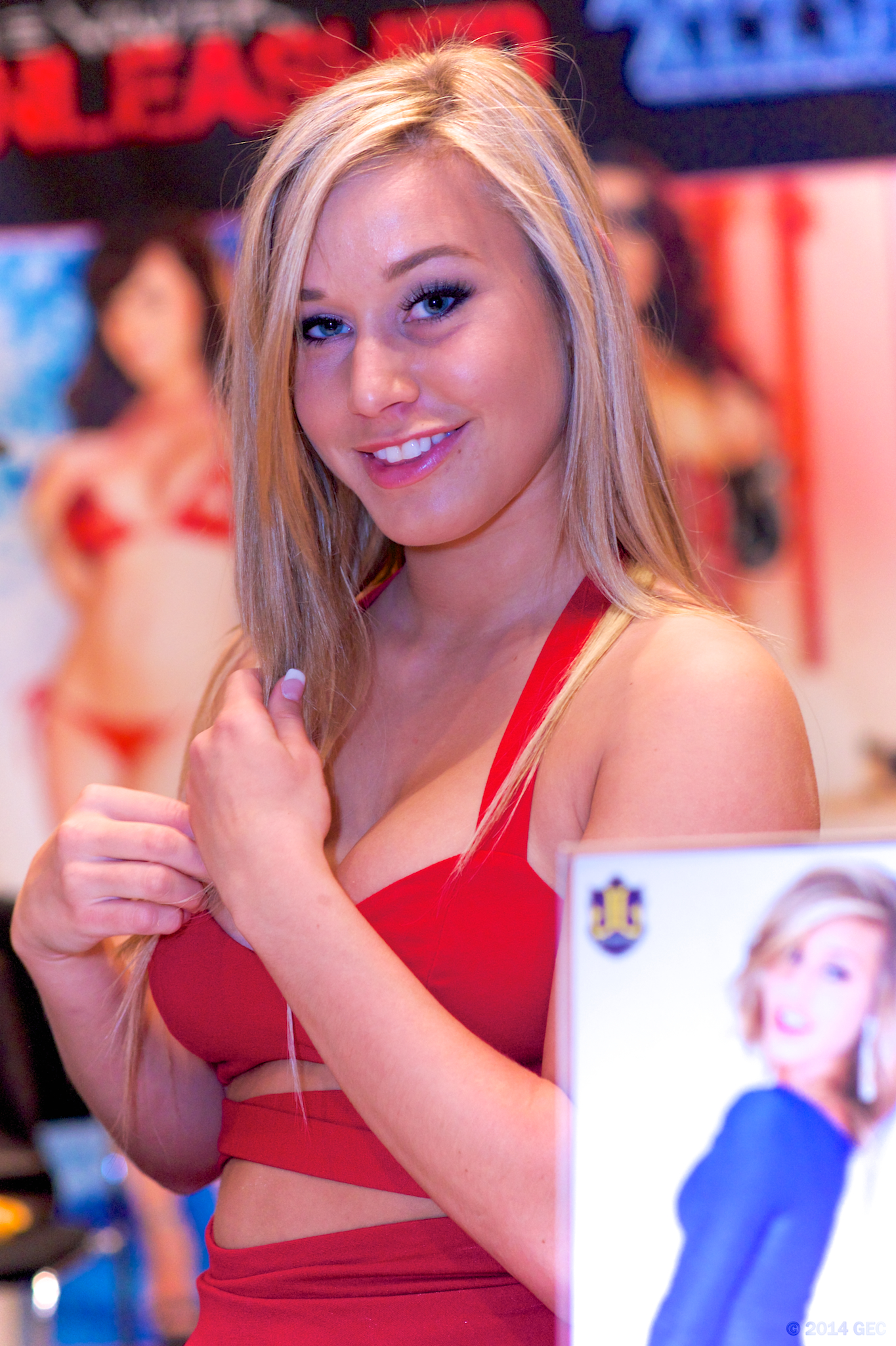 2014 AVN Adult Entertainment Expo AEE at Hard Rock Hotel - Las Vegas. 2014 © GEC.
 
Video footage:  youtu.be/SyanDejNnbQ