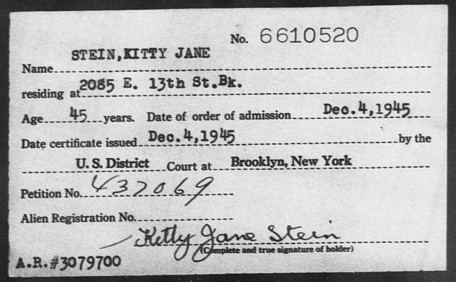 Kitty Jane profile image