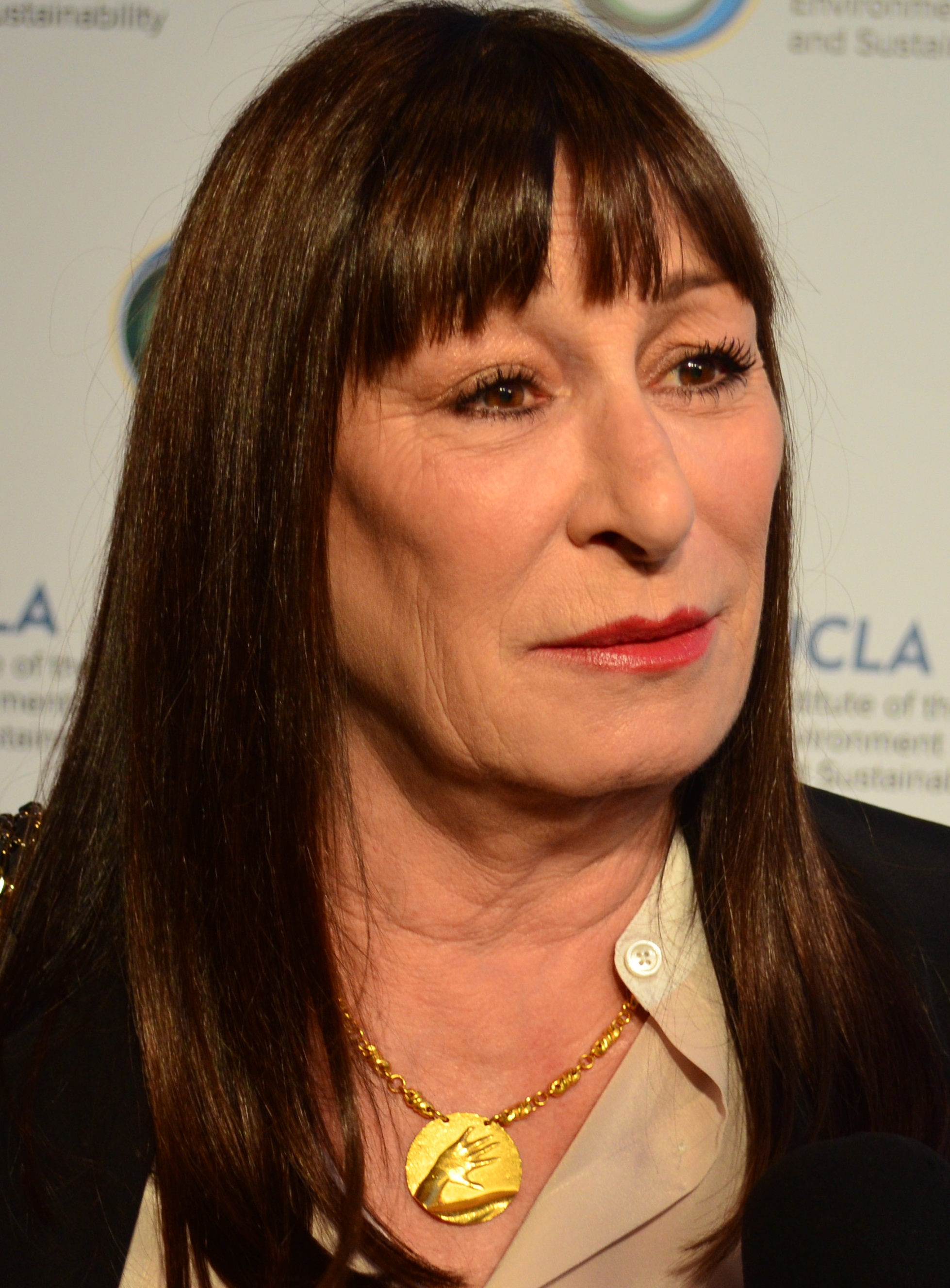 Actress Angelica Huston at the UCLA Institute of the Environment and Sustainability’s An Evening of Environmental Excellence.