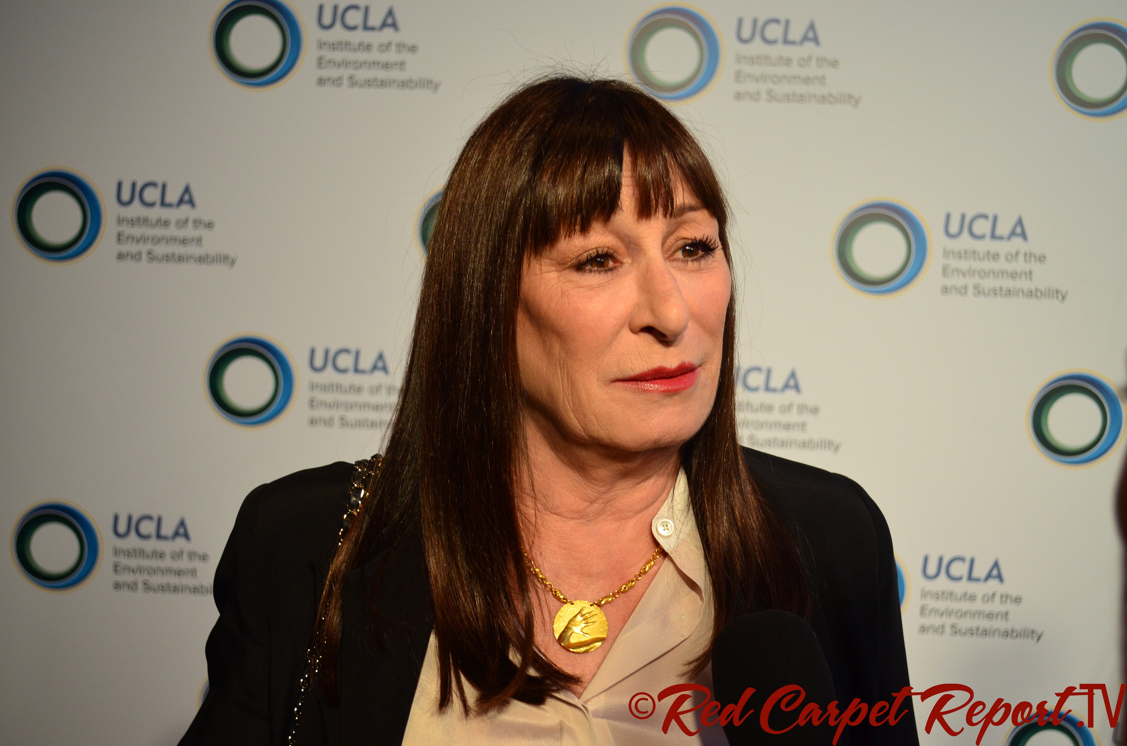 Actress Anjelica Huston at the UCLA Institute of the Environment and Sustainability’s An Evening of Environmental Excellence.