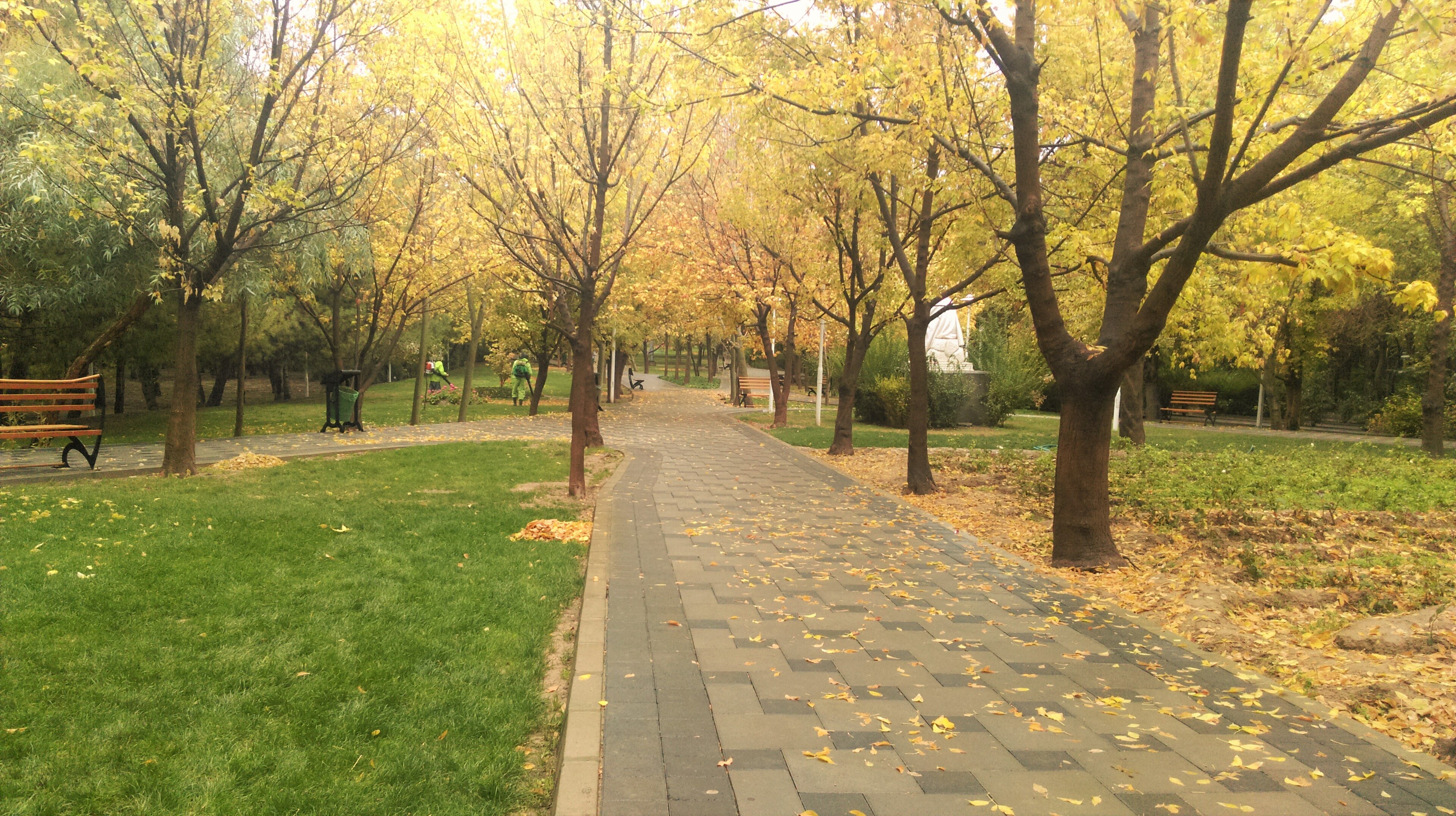 Leleh park of Tehran