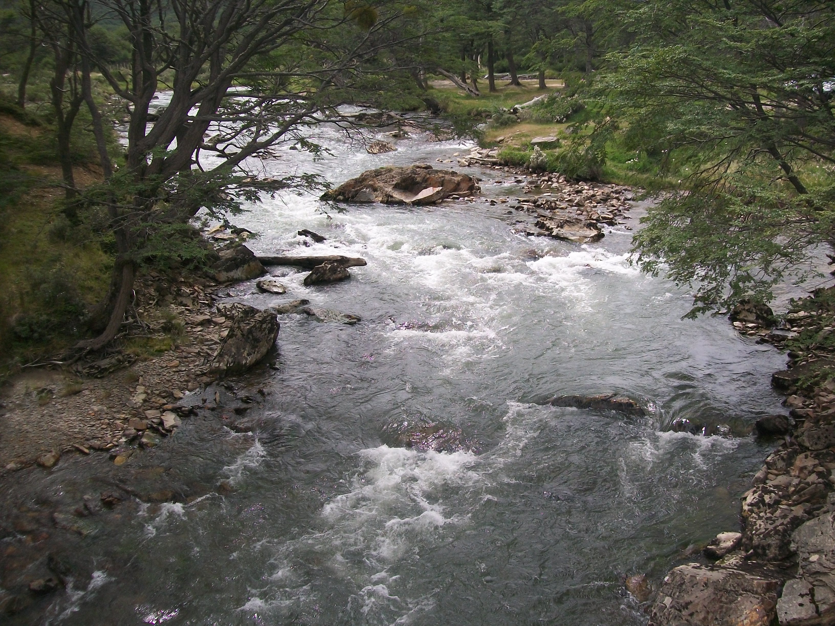 Rio Olivia en Tierra del Fuego, Argentina