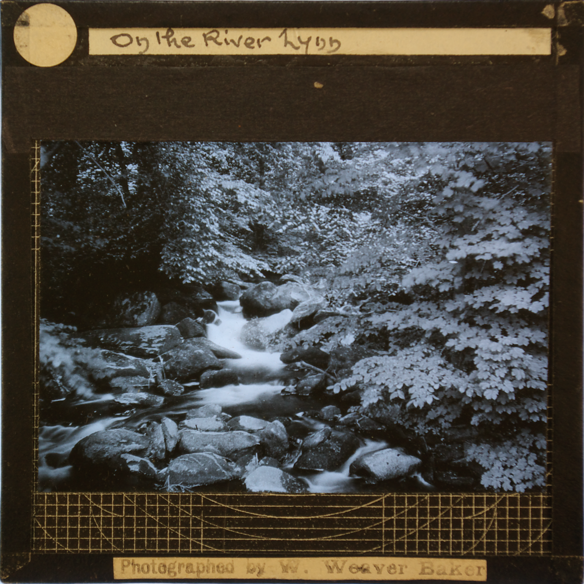 River Lynn profile image