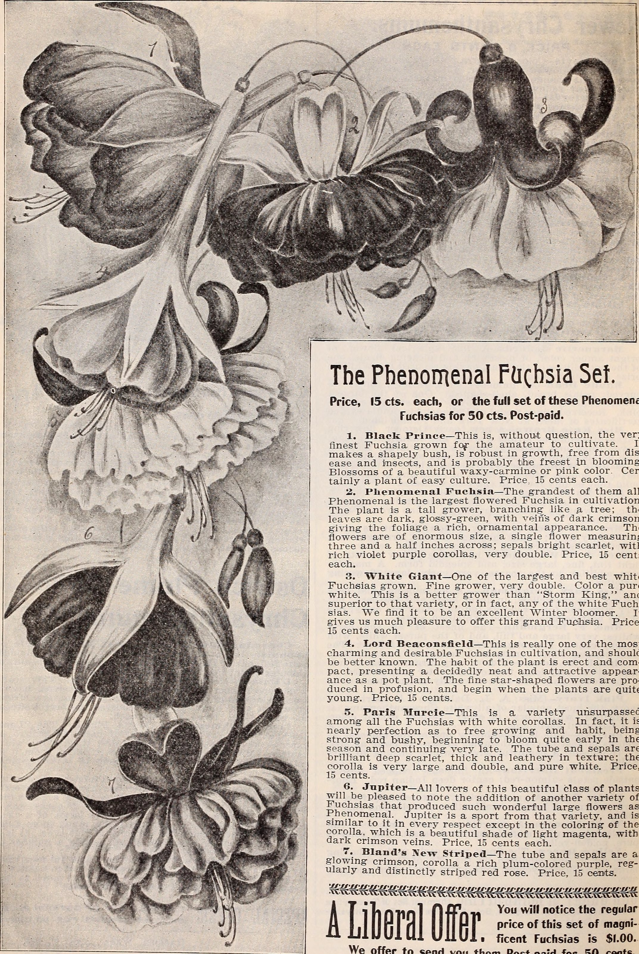 Title : Floral gems 
 Identifier : CAT31283831 ( find matches ) 
 Year :  1899  ( 1890s ) 
 Authors :  McGregor Brothers ;  Henry G. Gilbert Nursery and Seed Trade Catalog Collection  
 Subjects :  Nurseries (Horticultur