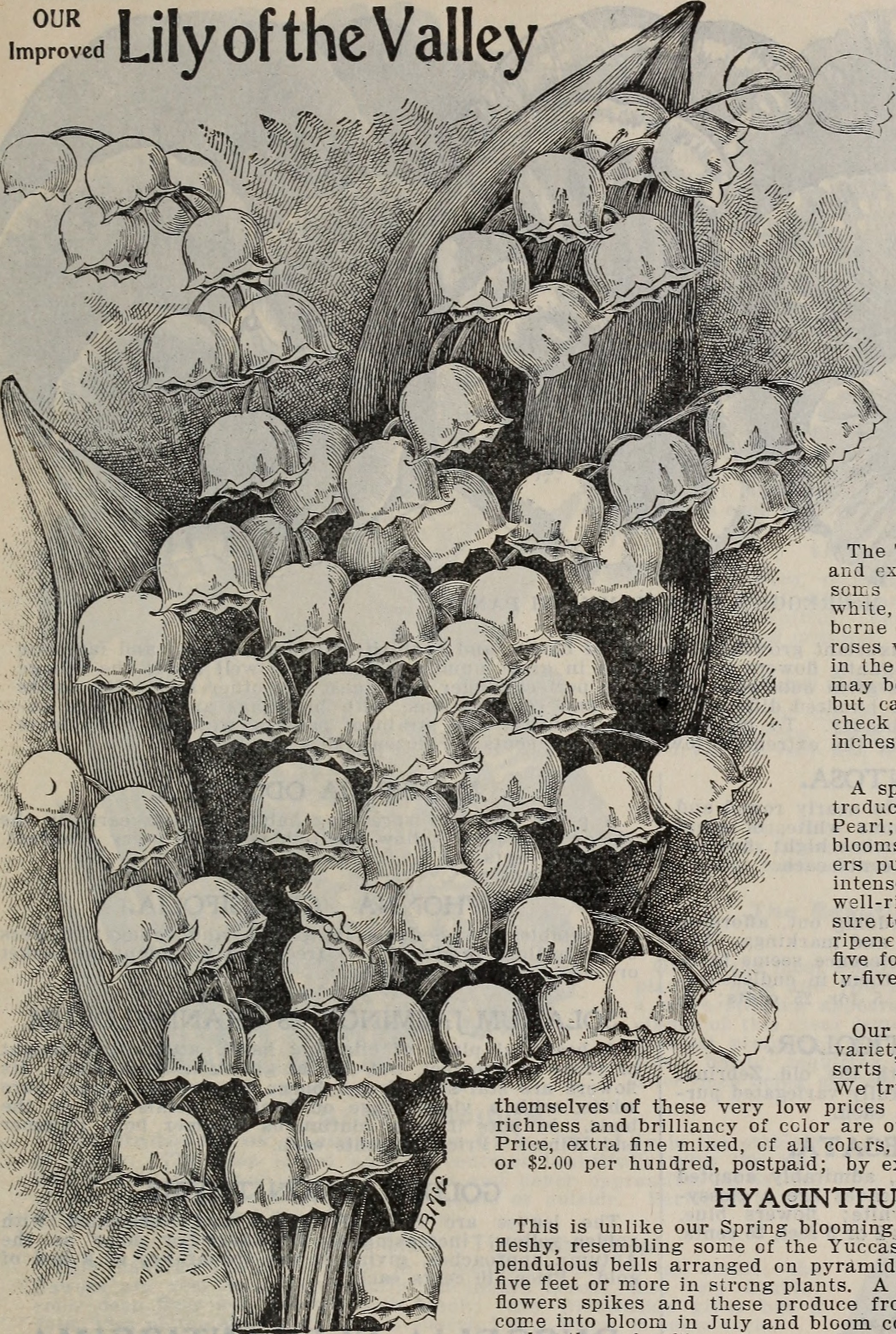 Title : Floral gems 
 Identifier : CAT31285229 ( find matches ) 
 Year :  1901  ( 1900s ) 
 Authors :  McGregor Brothers ;  Henry G. Gilbert Nursery and Seed Trade Catalog Collection  
 Subjects :  Nursery stock Ohio Spr