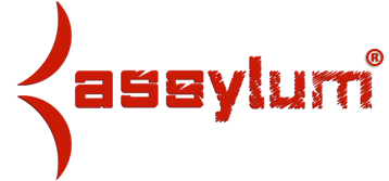 Assylum logo