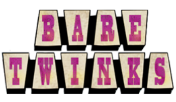 Bare Twinks logo