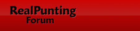 RealPunting logo